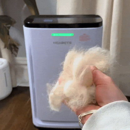 Eyvera FurGuard Air Purifier Pro