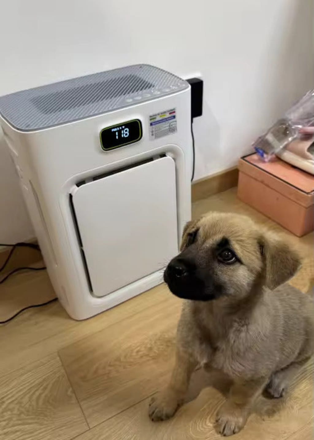 Eyvera FurGuard Air Purifier Pro