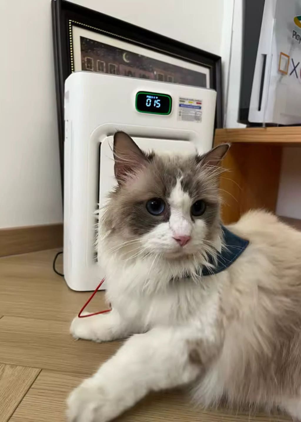 Eyvera FurGuard Air Purifier Pro
